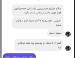 فوم موبر گیاهی - تصویر 3