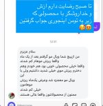 پک ویال مو رشد مو و ضدریزش پروتئینه مو اورجینال - تصویر 3
