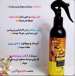 اسپری دوفاز مو آرگان لایتنس (اورجینال - تصویر 2