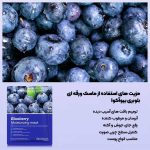 ماسک ورقه ای صورت بلوبری BIOAQUA - تصویر 2