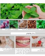 سفید کننده و جرمگیر دندان لانبنا (اورجینال) - تصویر 7