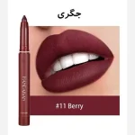 رژلب جامد مدادی پیجی تراش دار هندیان - تصویر 6