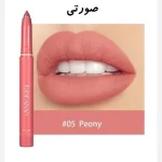 رژلب جامد مدادی پیجی تراش دار هندیان - تصویر 3